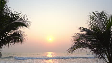 A-slow-pan-of-a-palm-framed-pink-and-yellow-sunset