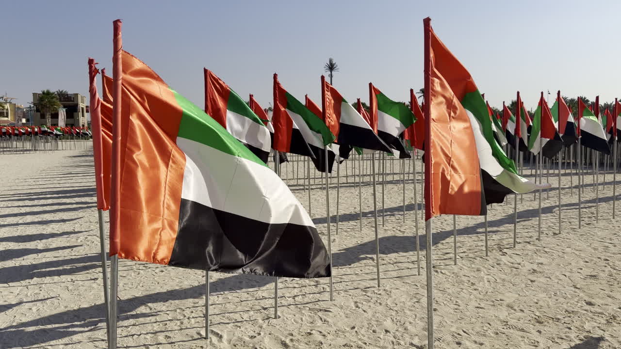 United arab emirates national flags planted in the sand waving at the beach during an annual event