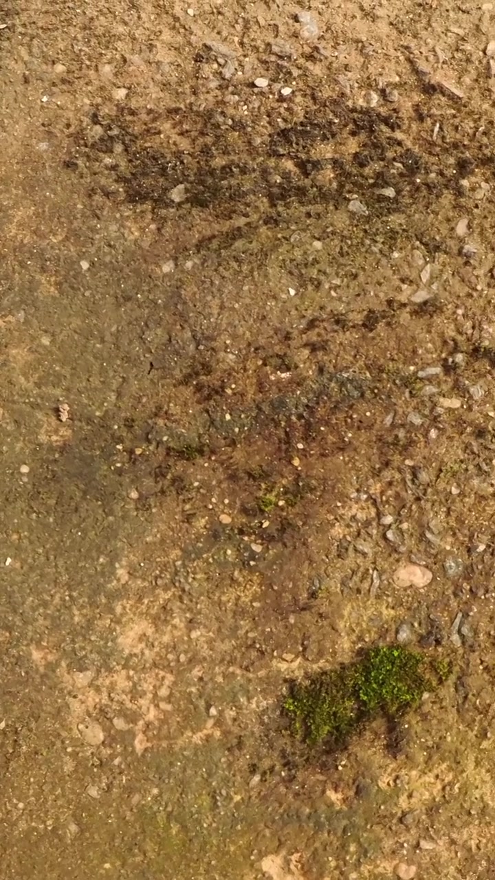 Dirt and gravel texture background