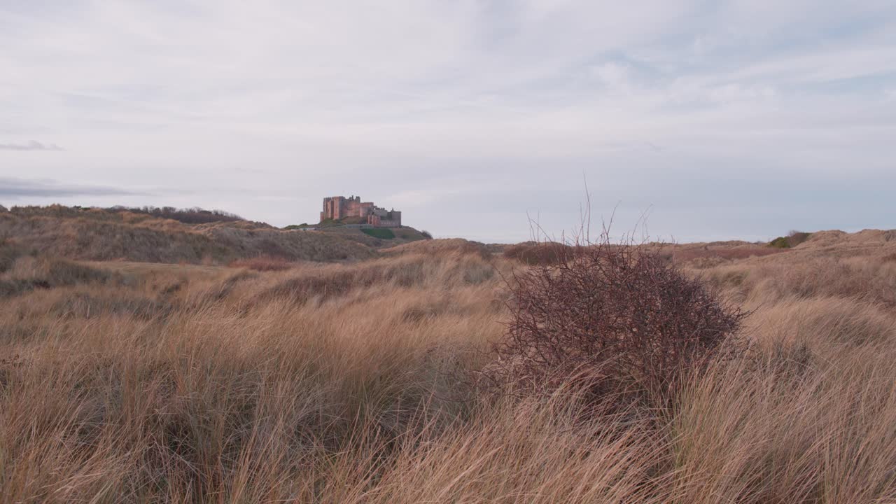 vista del castillo de bamburgh desde las dunas costeras de northumberland en una cálida noche de verano
