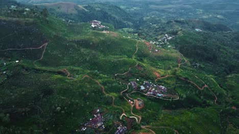 plantaciones de campos de té en haputale, sri lanka - paisaje de drones aéreos