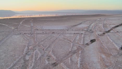 Jeep-and-vehicle-tire-tracks-lead-to-Lake-Nakuru-Kenya-with-pink-flamingos-background