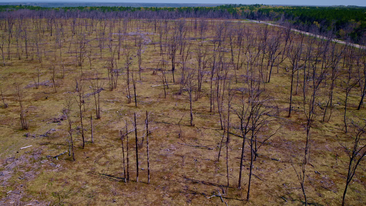 vistas aéreas de bosques quemados capturadas por un avión no tripulado.