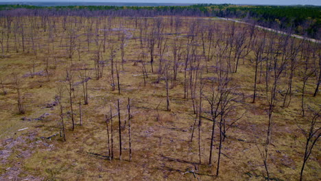 aerial views of burned woodland as captured by drone.