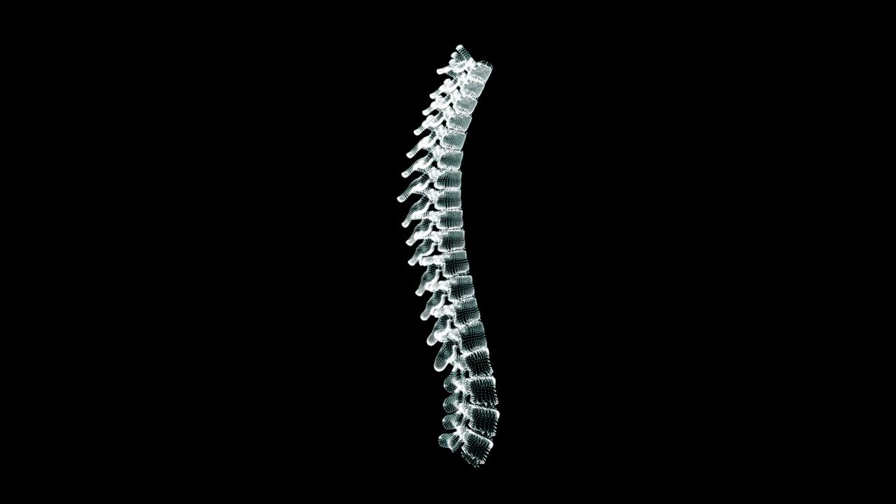 pantalla de representación holográfica 3d de la columna vertebral en el cuerpo humano - bucle