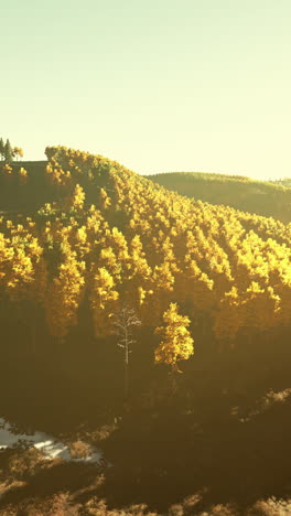 golden autumn forest landscape