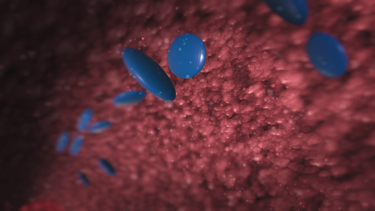 Microscopic view of blood cells