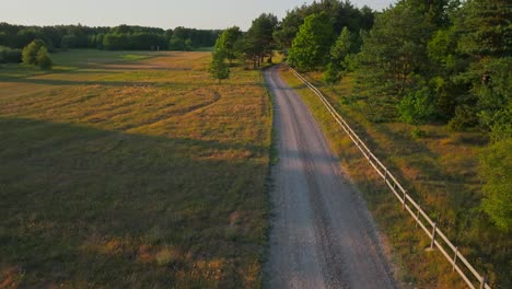 country road with siding fence during golden hour and sunset, flying over trees