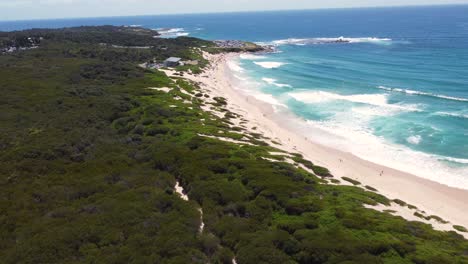 drone aerial shot of soldiers beach surf club with people on sandy beach reef coastline bushland tourism central coast nsw australia 4k