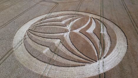 Strange-geometric-Warminster-crop-circle-aerial-view-rising-above-symbolic-pattern-carved-into-rural-farmland