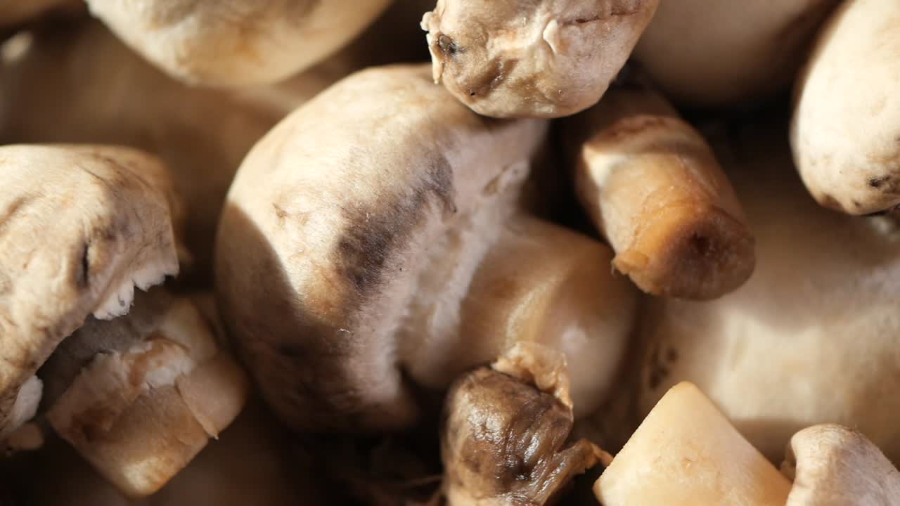 Close-up of a Pile of Mushrooms