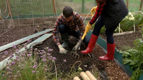 Junges-Paar-Bei-Der-Gartenarbeit