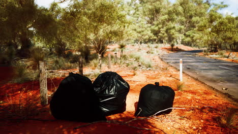 vertido ilegal de basura cerca de la carretera forestal