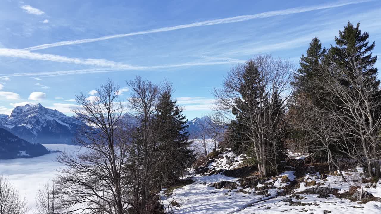 Luftaufnahme über dem Ufer des Walensees mit verschneitem Wald und alpiner Kulisse unter klarem blauem Himmel. Friedliche Schweizer Winterlandschaft. Konzept von Stille und saisonalem Übergang.
