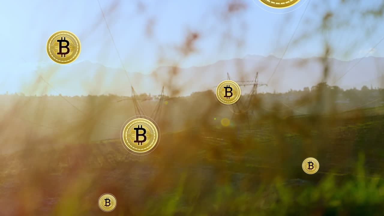 animación de bitcoins flotando sobre los postes de electricidad al atardecer