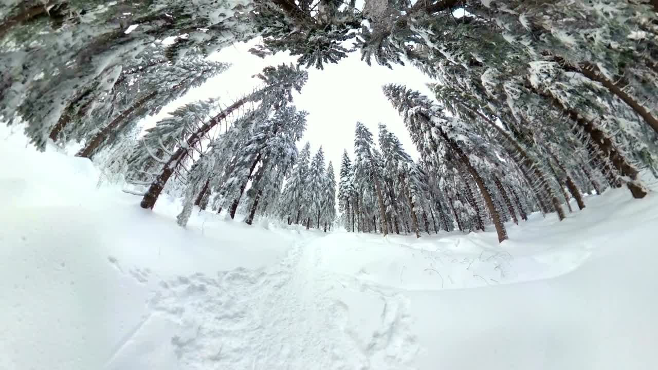 hombre caminando a través de un hermoso bosque de invierno, vr360, 360vr, 360 video, 360 grados, vr, pequeño efecto planeta
