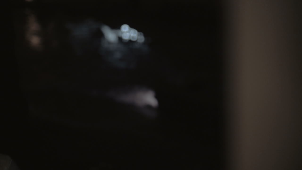 카니발 마스크 를 입은 여자 가 드폰 으로 셀피 를 찍고 있다