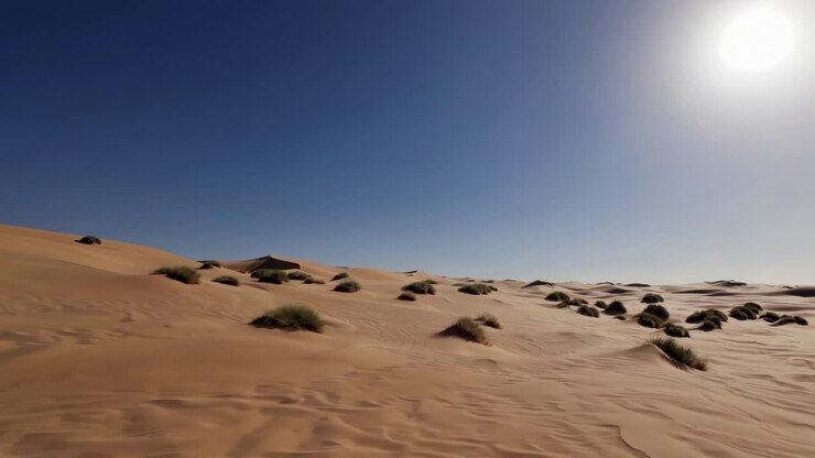 Un video aereo cattura un vasto paesaggio desertico con dune ondulate e vegetazione rada