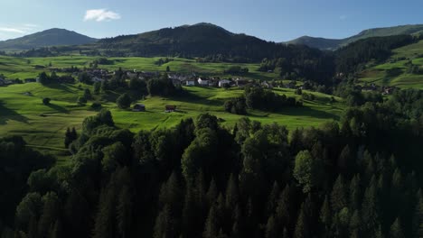 europe nature switzerland forest landscape, beautiful valley village, aerial