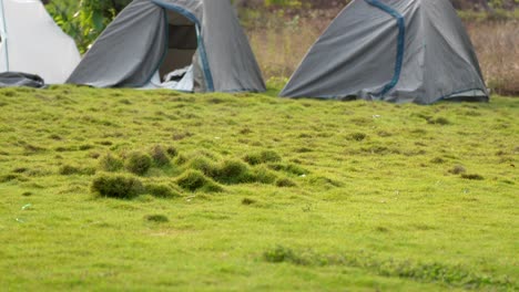 Tienda-De-Campaña-En-El-Bosque-Metrajes