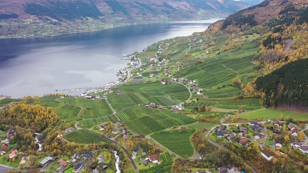 lofthus en ullensvang hardanger noruega - hermosa vista aérea que revela hardangerfjord y enormes tierras de cultivo de frutas frescas durante la temporada de cosecha en otoño