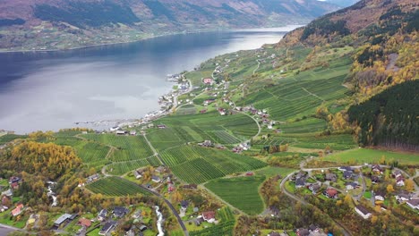 Lofthus-In-Ullensvang-Hardanger-Norway---Schöne-Luft,-Die-Während-Der-Erntezeit-Im-Herbst-Den-Hardangerfjord-Und-Riesige-Frische-Obstfelder-Enthüllt