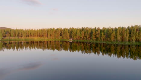 spruce forest with mirror reflection on transparent lake in lapland, northern sweden