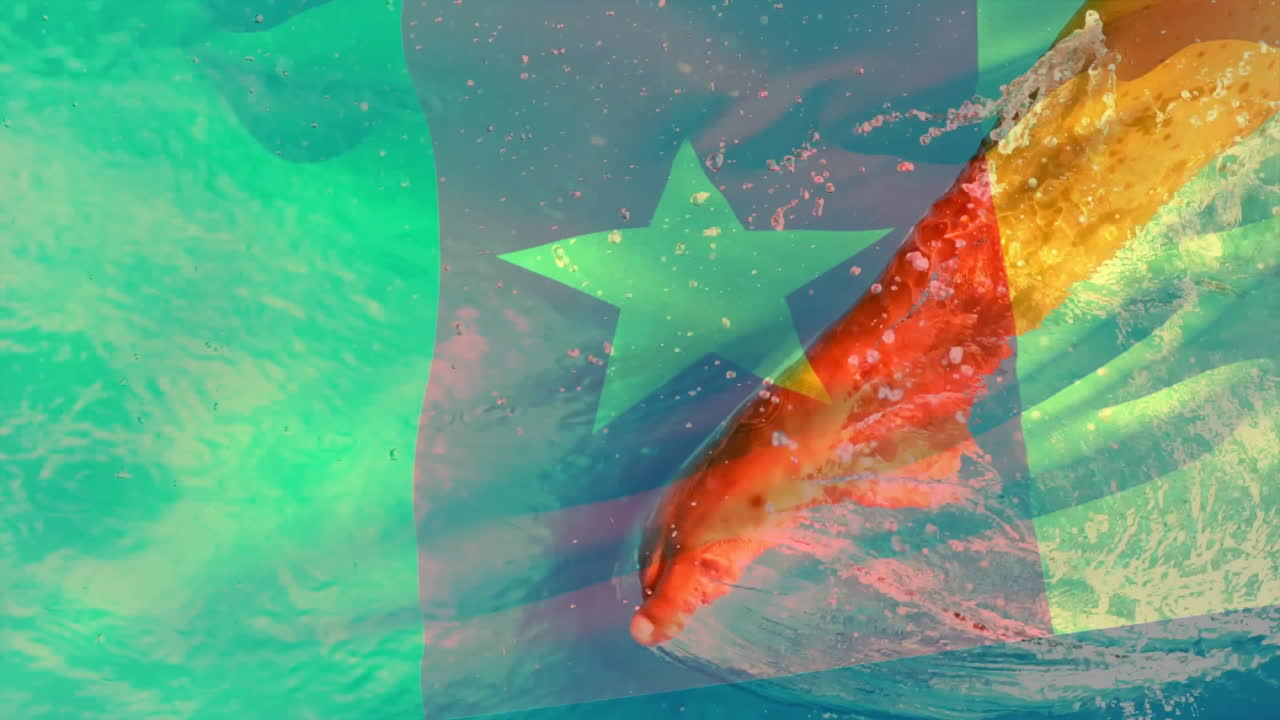Cameroon flag overlay on swimming fish with vibrant animation in water