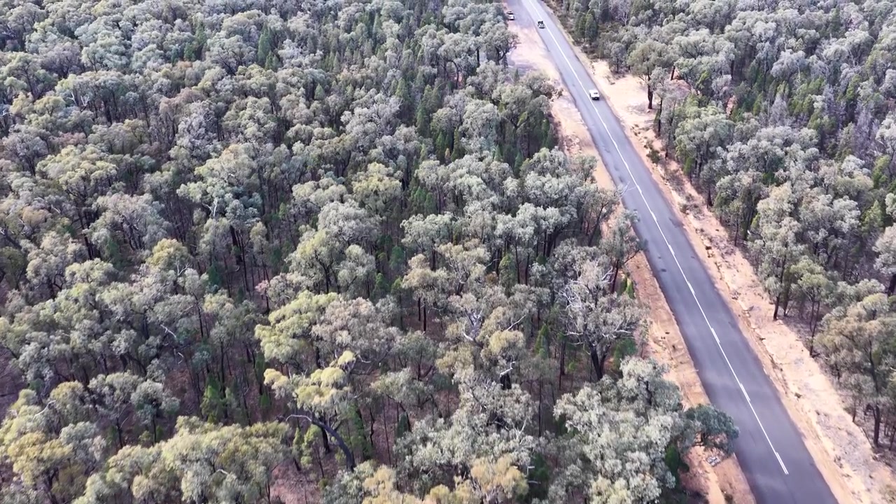 Vue aérienne par drone en plongée d'une autoroute traversant une brousse dense dans la forêt de Goonoo, Australie.