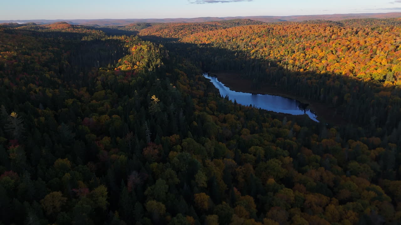 Aerial view of a vibrant autumn forest with lake, river, and mountains at sunrise in Mauricie, Quebec, Canada. Warm light highlights the colorful fall landscape