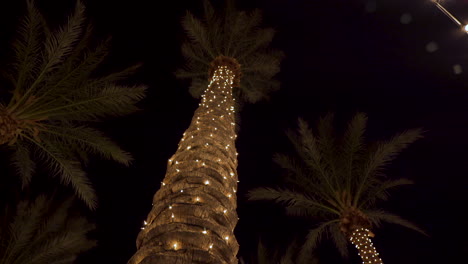 palmeras decoradas con luces de navidad brillantes por la noche en florida
