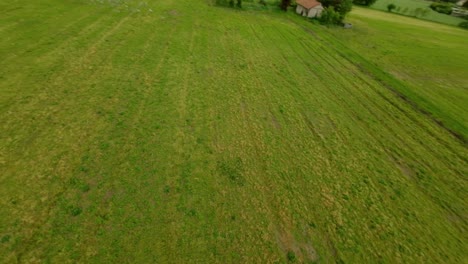 avión no tripulado volando libremente con muchas aves sobre campos cultivados en el campo rural
