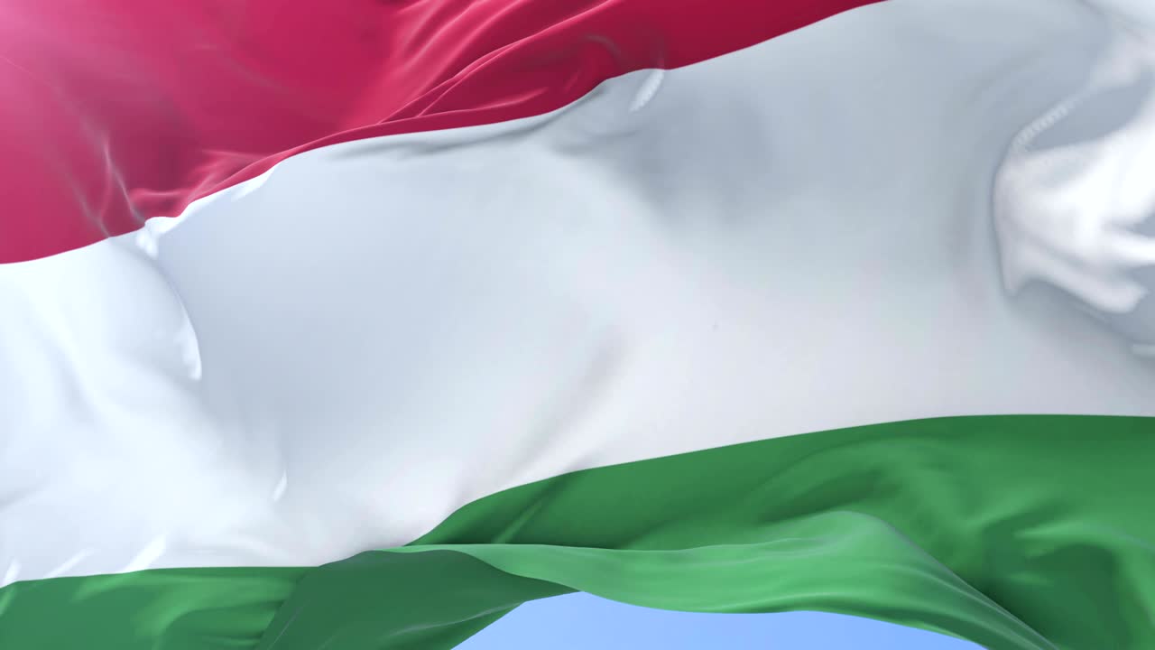 푸른 하늘에서 느리게 바람에 흔들리는 가리 발, 루프