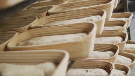 animation of bread in molds prepared for baking