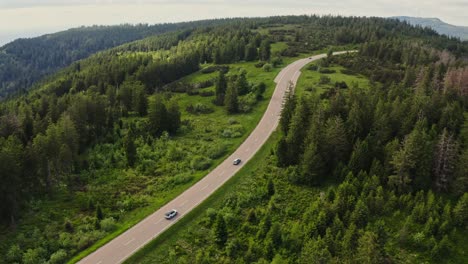 mountain road through forest