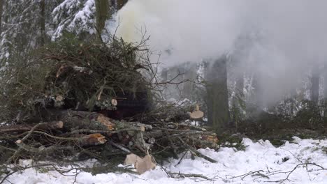 closeup of a pile of twigs and evergreen branches piled up and slowly burning