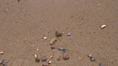 vista de conchas marinas erosionadas y piedras sobre la arena de la playa mientras las olas del mar aparecen en el marco