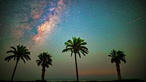 milky way galaxy night sky time lapse from a beach with palm trees in foreground