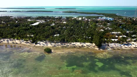 drone high angle overview of ocean and forested coast in the tropical islamorada, florida keys