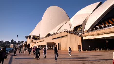 sydney opera house: a sunny day at the iconic landmark