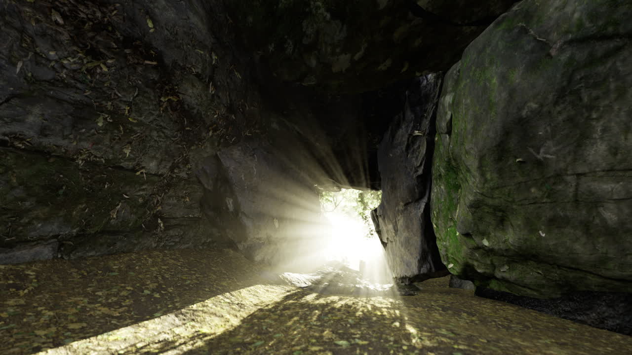Natural light streaming through a cave opening in a serene forest setting