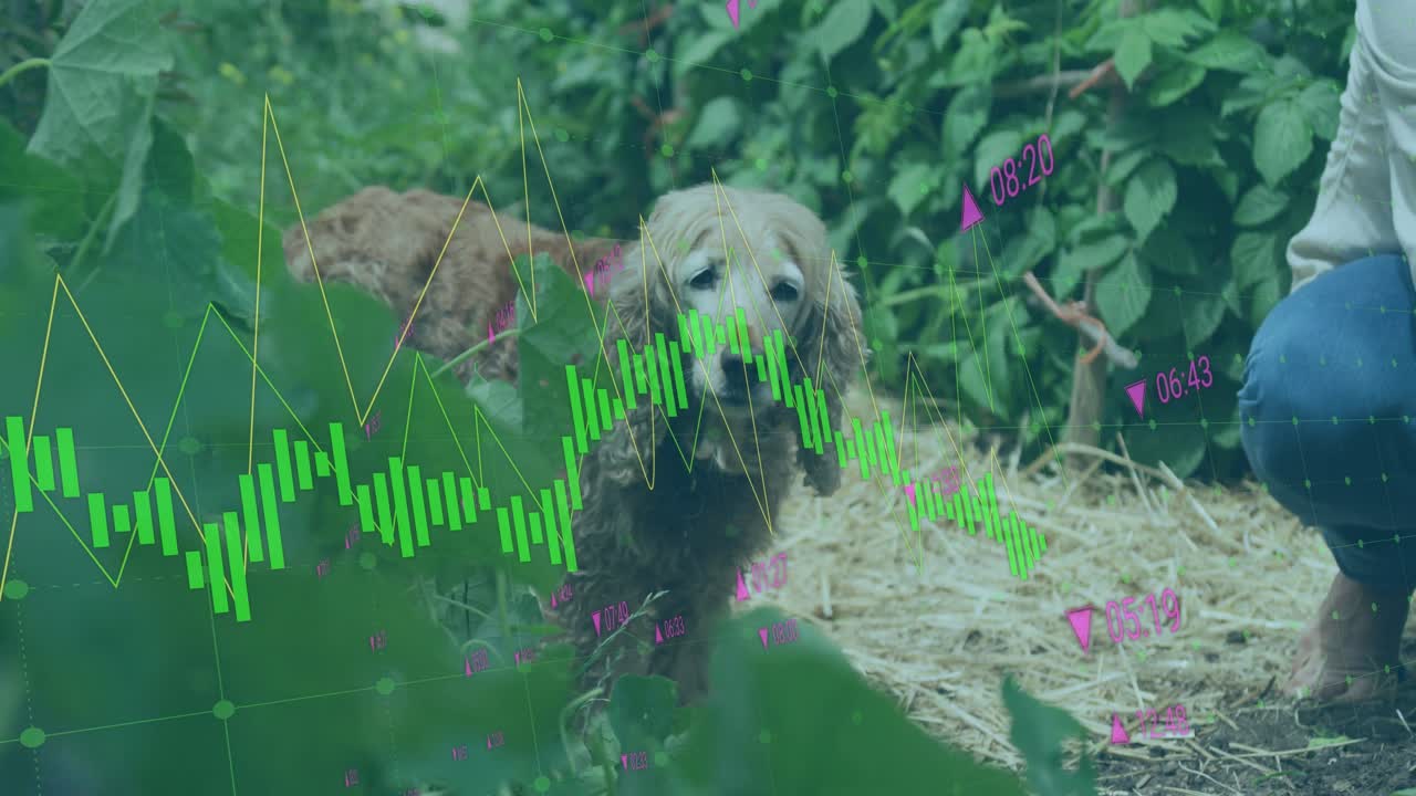 Golden retriever emerging from foliage entering straw, financial chart lines pulsing, owner guiding