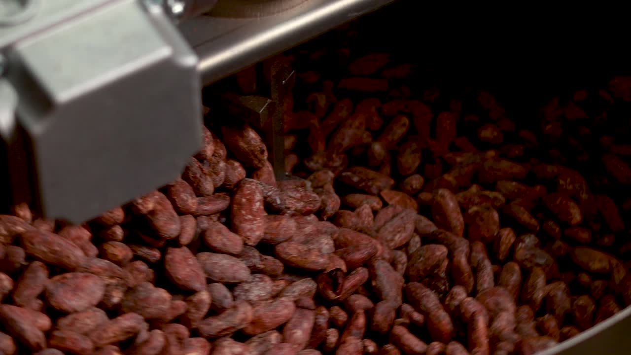 procesamiento de los granos de cacao