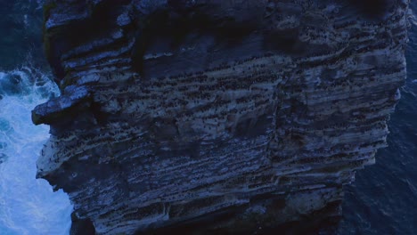 aerial tilt up from base of sea stack at cliffs of moher, showing puffins and seagulls on rock layers, ending with a colourful sunset and sea horizon