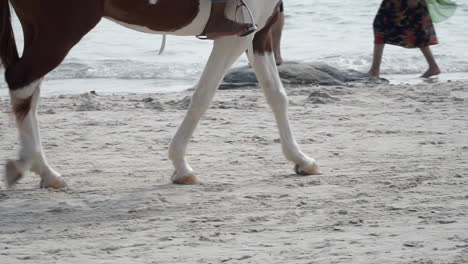 legs of a white and brown adult horse walking on a white sand beach in the summer and man riding it