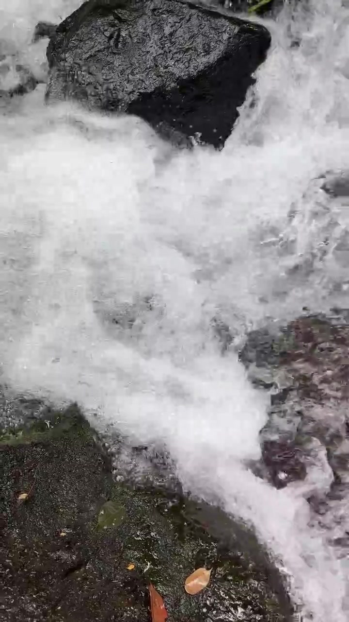 Agua cristalina fluyendo sobre rocas oscuras en un arroyo de montaña.