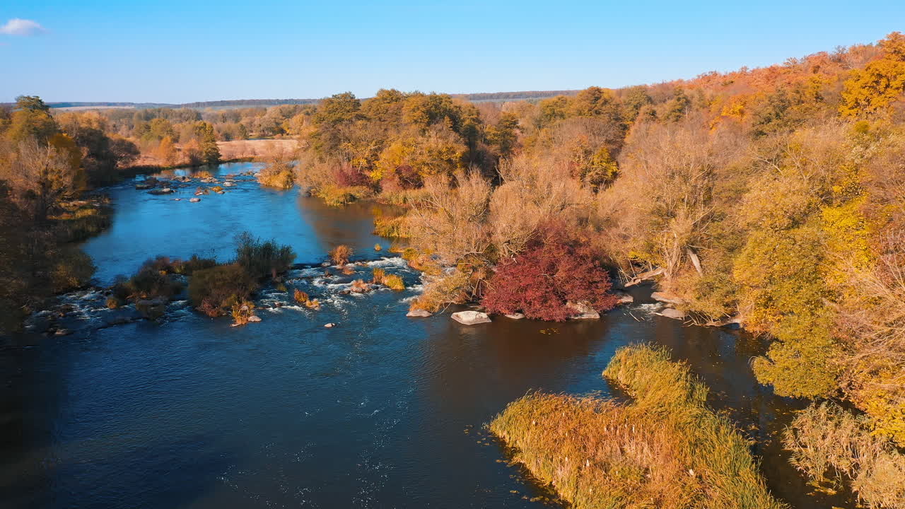 The river rapids in the forest among the orange and yellow lush vegetation. The reflection of blue sky in the water. Aerial view of autumn forest early in the morning.