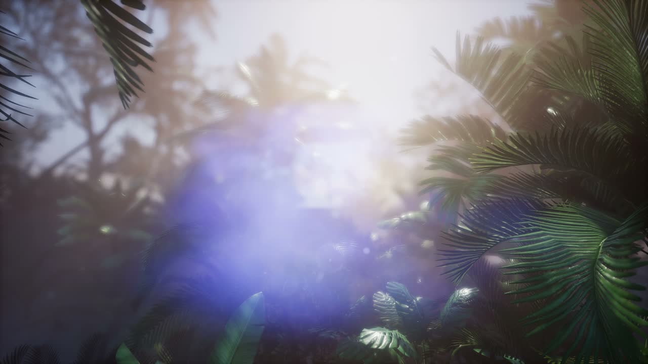 ⁇ 나무 를 가로지르는 해 가 지는 광선