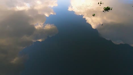 Reflection-of-cloudy-sky-and-the-flying-bird-on-a-river-stream-where-there-are-ripples-and-flowing-aquatic-plants-on-it