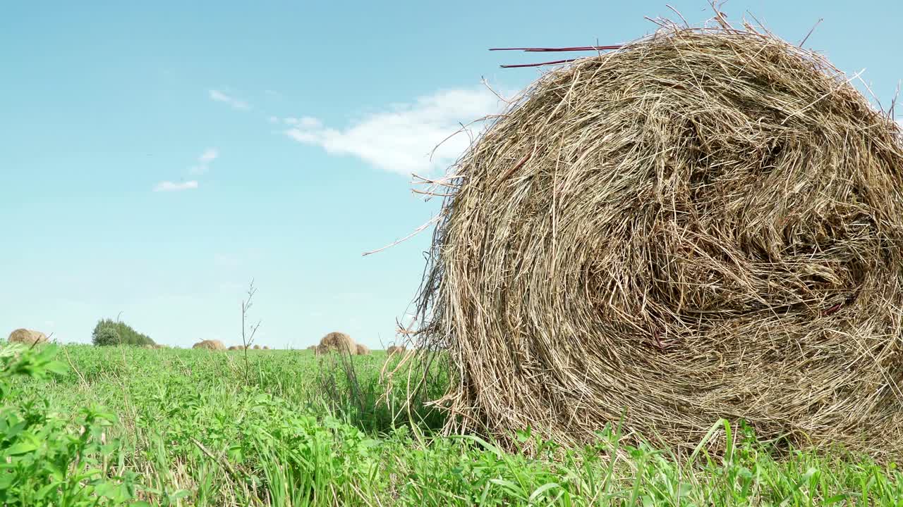 concepto de agricultura. balas de heno en un prado. campo rural en verano con balas de heno. vista de bajo ángulo